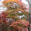 赤湯 烏帽子山公園の紅葉　２
