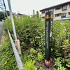 鬢手洗池跡（神奈川県横浜）