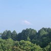 今朝の景色