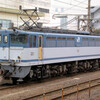 【展示館】EF65 1098［新］