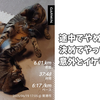 途中でやめてもいいと決めてやってみると、意外とイケることがある。