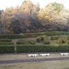 岐阜県関市　【百年公園】　 