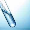 遺伝子　と　DNA