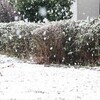 大きなぼたん雪にびっくり！