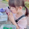 お散歩とお弁当