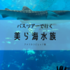 沖縄バスツアー＊美ら海水族館・アメリカンビレッジへ