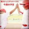 ⚾️今週の予定⚾️