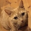 人事部長の「採用研究室」