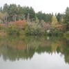 紅葉オープン