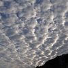秋らしい雲１－斑状雲