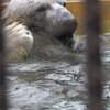 夏の雰囲気　ホクト編