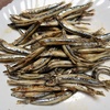 焼きキビナゴ