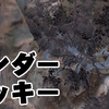 #Kenshi　s6_03：「植物学冒険記」 オクランプライド編(3)