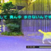 【小ネタ】歩道のど真ん中歩く奴って老練な猫に劣るんだな
