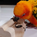 大阪ちょっとしたグルメ探訪