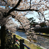【大阪・兵庫】郊外のお薦め花見スポット
