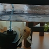 寒さが続くのでエサやりを減らす