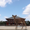 万葉集にある変な歌　Part2～それにしても、本当にそんな場所で魚を獲って食べたりしてたんでしょうかね？