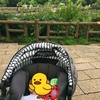 井の頭公園をお散歩してみた