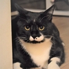 ルナ君・ノア君・むぎちゃんの巻