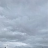 5月30日(火) 2023 令和5年🐰 皐月(さつき)🌔4月11日