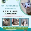 8月譲渡会のお知らせ🐾