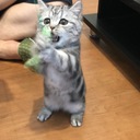 ゆとりはお呼びでないですか？