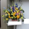 DAILY FLOWERS