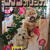 風の大地 ～絶筆・最終原稿（最終話）が掲載！