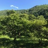 すでに　秋の風情