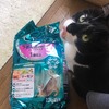 【キャットフード】「ネスレピュリナワン」を長年使い続けている理由