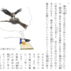 サイクリングと編集作業