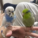 とりどり生活