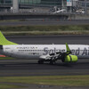  LQ JA807X B737-800(wl)