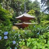 【京都】当尾、『岩船寺』　あじさい