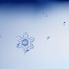 雪の結晶写真