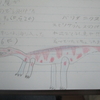 気候と恐竜３　恐竜解説