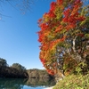 五色沼自然探勝路【番外編】天気予報と紅葉情報を見て急遽、福島県裏磐梯を目指す！