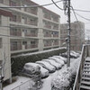 東京で大雪