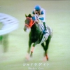 2024年7月20日放送「天使の微笑み ／ シャドウゲイト」