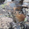 十石峠へ②（9月3日）