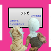 シンデレラ＆オールスターズ