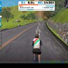 探偵ナイトスクープにあの人が！・ZWIFT Alpe33回目