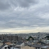10/19 17〜23時❗️ボトルショップもやってます。