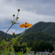 FUJIFILM X-H1 のLightroom6.14でのRAW現像について少々