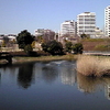 中央公園