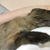 今日もえらいこっちゃです