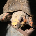 ZEROの再構築日記