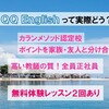 【無料体験２回あり】オンライン英会話QQイングリッシュの特徴・メリット？体験談も【口コミ・評判】カランメソッド認定校！講師全員正社員で"質”がよい　デメリットは？