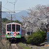 今日(３/27)・明日(３/28)の近江鉄道